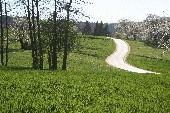 Ab ins Kaunertal - Die Trenkwalder