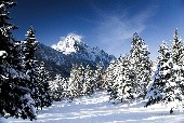 Frischer Wind - Alpenoberkrainer